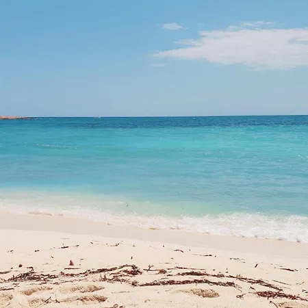 La Casa De Pedro 托雷维耶哈