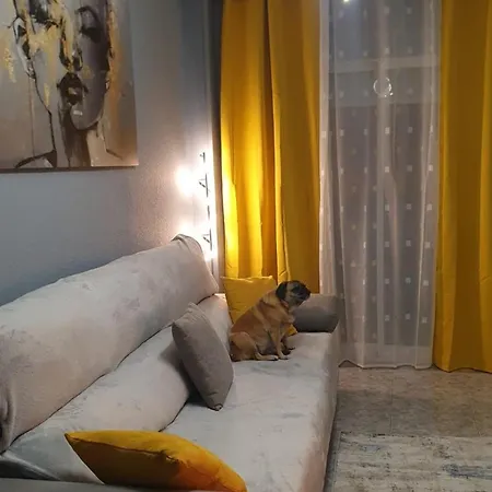 La Casa De Pedro 公寓 托雷维耶哈