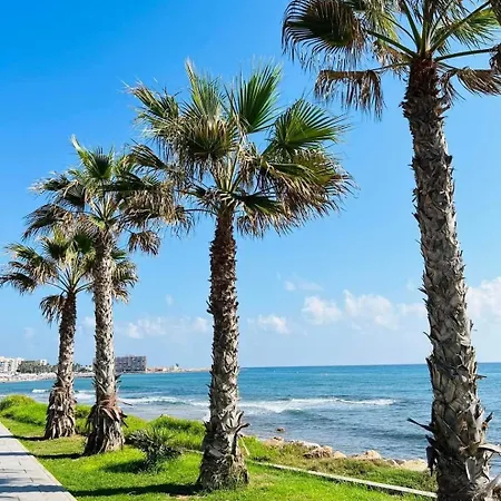 La Casa De Pedro Torrevieja